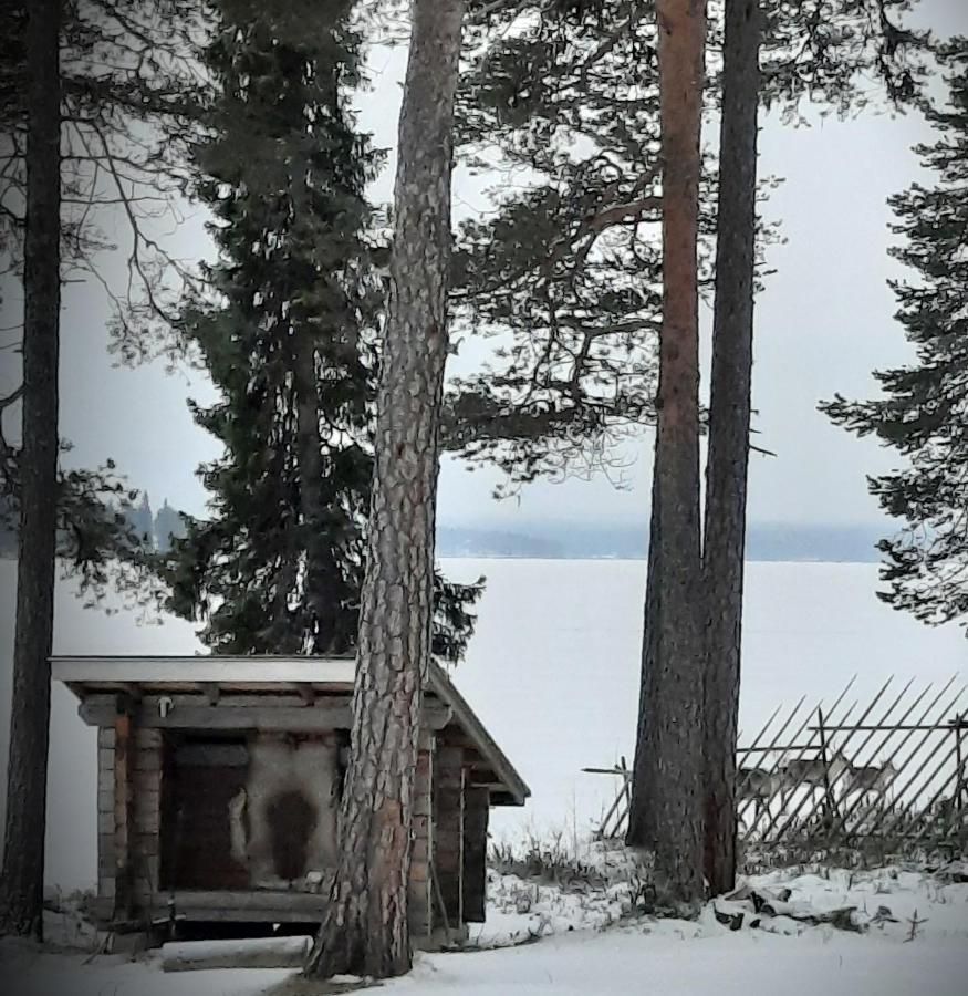 Chalet Norva Rovaniemi Bagian luar foto