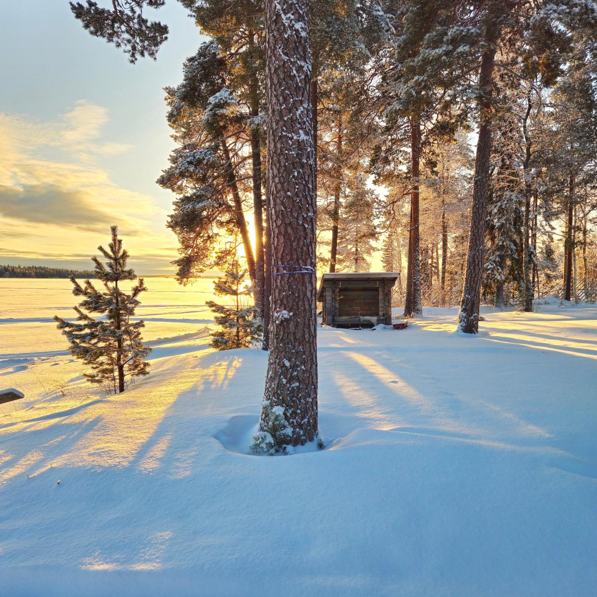 Chalet Norva Rovaniemi Bagian luar foto